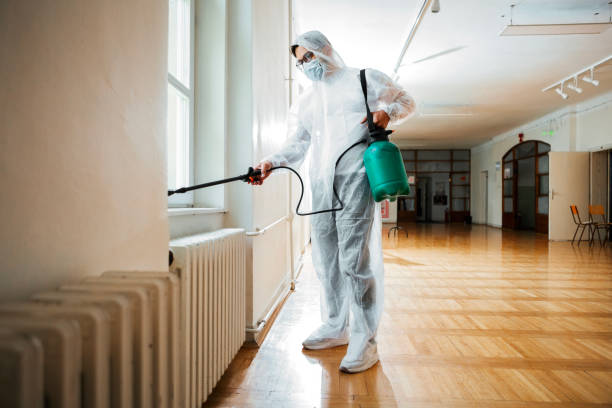 Best Best Pest Control Companies  in Beckett, NJ